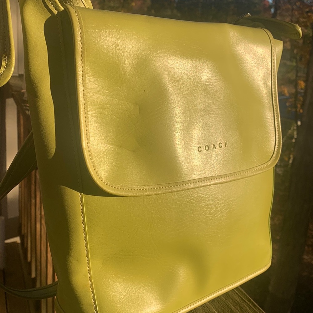 Pseudo coach bag
